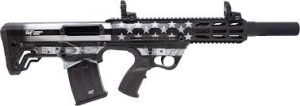 gfy1usg5c13.jpg GFORCE ARMS GFY1 12/18.5 B&W USA/BLK 5+1